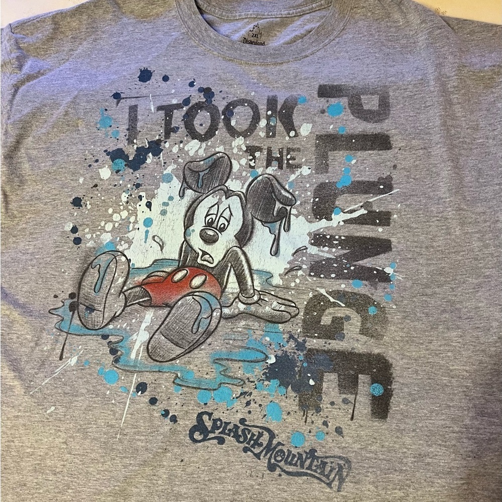 Disney Parks Original Splash Mountain Short Sleeve Tee with Energetic Graphic